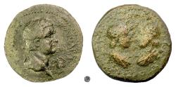 Ancient Coins - DOMITIAN, CILICIA, Flaviopolis-Flavias.  AE 30, struck 89/90 AD