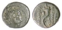 Ancient Coins - PHOENICIA, Ake-Ptolemais. AE 14, 2nd century BCE. The Dioskouroi / Cornucopia