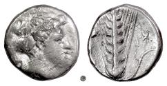 Ancient Coins - LUCANIA, Metapontion.  AR Nomos, circa 400-340 BC.  Demeter / Grain ear