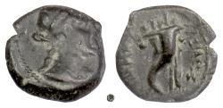 Ancient Coins - KLEOPATRA VII?  Ptolemaic Egypt, AE chalkous. Cyprus, Paphos mint.  Aphrodite / Cornucopia