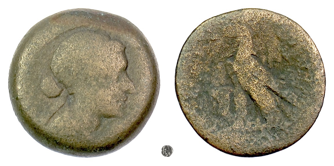 EGYPT, Cleopatra VII. AE obol, Alexandreia mint, 51-30 BC | Greek Coins