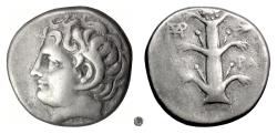 Ancient Coins - KYRENAIKA, Kyrene.  AR didrachm, 300-295 BC. Apollo / Silphium plant.  Very Rare