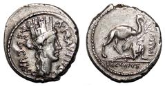 Ancient Coins - A. Plautius AR Denarius. EF-. Bacchius Iudaeus.