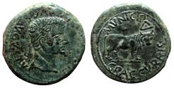 Ancient Coins - TIBERIUS AE As. EF-/EF. Bull