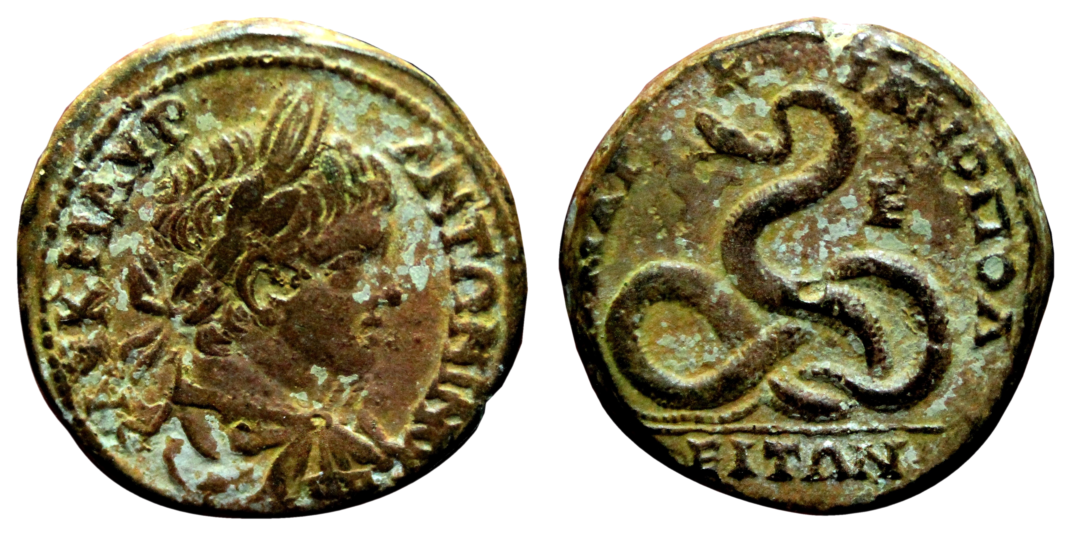 MARKIANOPOLIS Moesia Inferior AE25 Caracalla VF EF Snake MARKIANOPOLIS Moesia Inferior AE25 Caracalla VF EF Snake