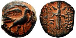Ancient Coins - DEMETRIOS II Nikator AE13. Second reign. EF-. 129-125 BC. SCARCE!