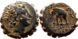 Ancient Coins - ANTIOCHOS VI AE19. VF+/EF-. Antioch mint. Elephant to left.