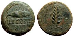 Ancient Coins - ROMAN-CELTIC AE As. EF+. Fish - Grain ear. 2nd century BC.