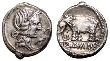 Ancient Coins - Q. Caecilius Metellus Pius AR Denarius. Almost EF/EF. 81 BC. Elephant.