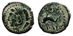 Ancient Coins - PHOENICI AE Sextans. VF+/EF. 1st Century BC. Herakles -  Dolphin.