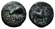 Ancient Coins - ROMAN-PHOENICI AE Half-Unit (Semis). VF+. Asido. 2nd century BC. RARE!