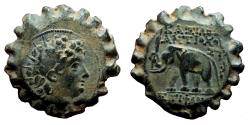 Ancient Coins - ANTIOCHOS VI AE23. aEF. Antioch mint. Elephant.