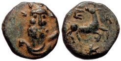 Ancient Coins - SELGE (Pisidia) AE14. EF-. 2nd-1st centuries BC. Stag.