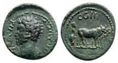 Ancient Coins - PARIUM (Mysia) AE18. Marcus Aurelius. EF-. Yoke.