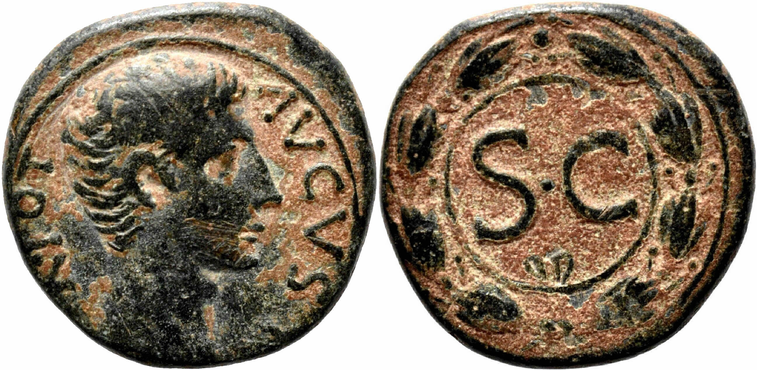 ANTIOCH (Syria) AE23. Augustus. VF+. Wreath - SC. | Roman Provincial Coins