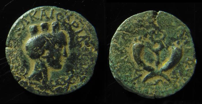 Judaea, Agrippa Ii 56 - 95 Ad. Tyche   Double Cornucopia. The Rarest 