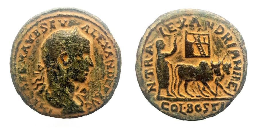 Ancient Coins - Arabia, Bostra. Severus Alexander (222 - 235 AD). AE 31 mm.