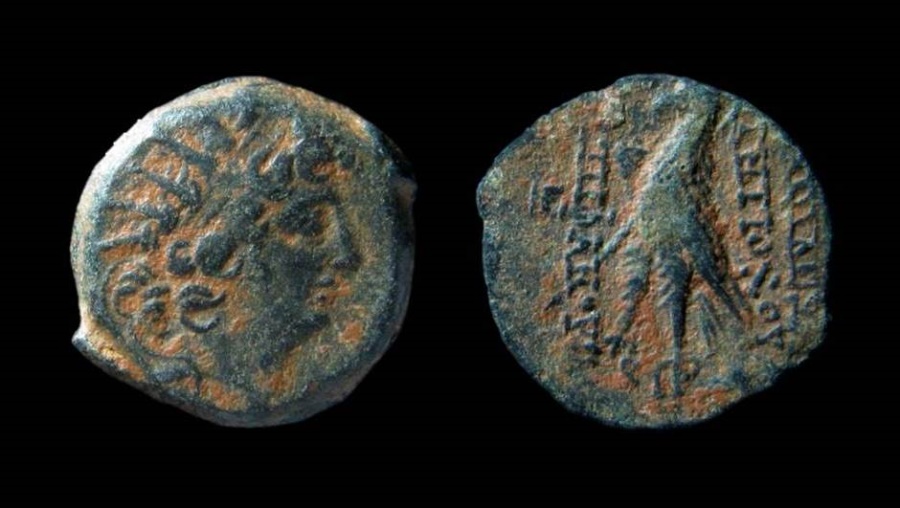 Seleucid Kingdom, Antiochos VIII, 125 - 96 B.C. AE 19 mm | Greek Coins