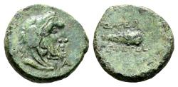 Ancient Coins - Lucania, Paestum
