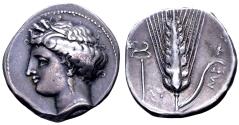 Ancient Coins - Lukania, Metapontum