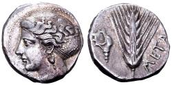 Ancient Coins - Lukania, Metapontum