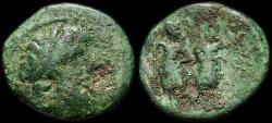Ancient Coins - Chalcis: Ptolemaios