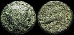 Ancient Coins - Troas: Assos
