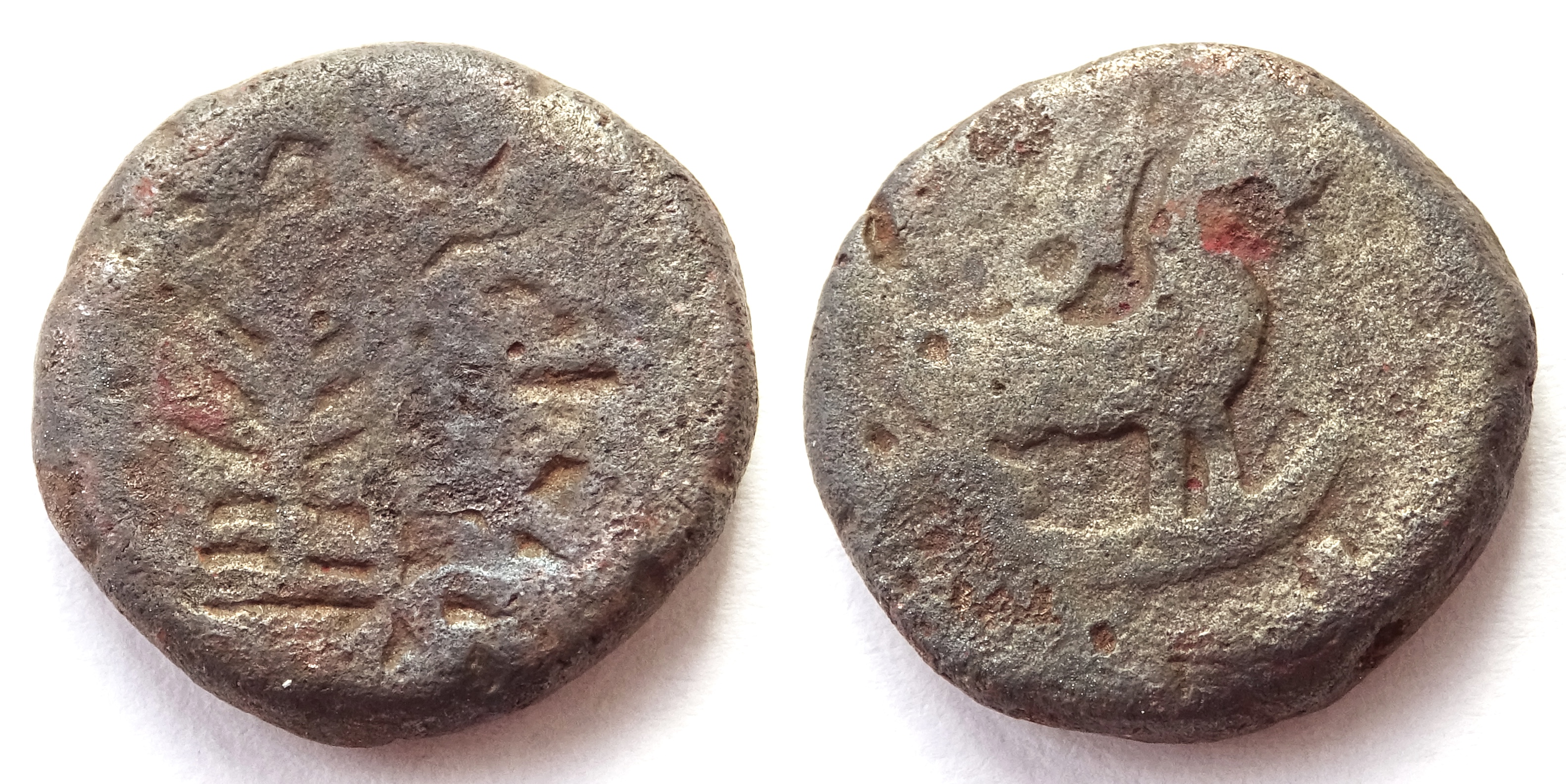 INDIA, TRIBAL: Agra janapada copper coin. Lion type. Rare. | Ancient ...