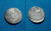 Ancient Coins - Roman Republic Cn. Plancius Denarius