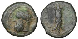 Ancient Coins - Sicily Syracuse Bronze Time of Timoleon and the Third Democracy, circa 344-339/8 BC