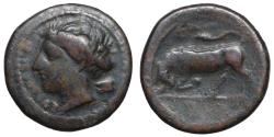 Ancient Coins - Sicily Syracuse Time of Agathokles circa 317-310 BC