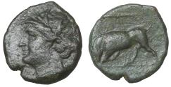 Ancient Coins - SICILY Syracuse Hieron II 275-215 BC Bronze Persephone \ Bull