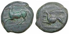 Ancient Coins - Sicily Kainon Æ 22 Circa 360-340 BC Griffin \ Horse