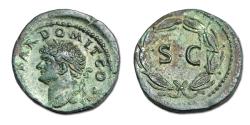 Ancient Coins - Domitian Æ As. Rome mint for circulation in Seleucis and Pieria/ Antioch