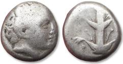 Ancient Coins - AR didrachm KYRENAICA / Cyrenaica - Kyrene / Cyrene, time of Magas circa 294-275 B.C. - struck on short  thick flan
