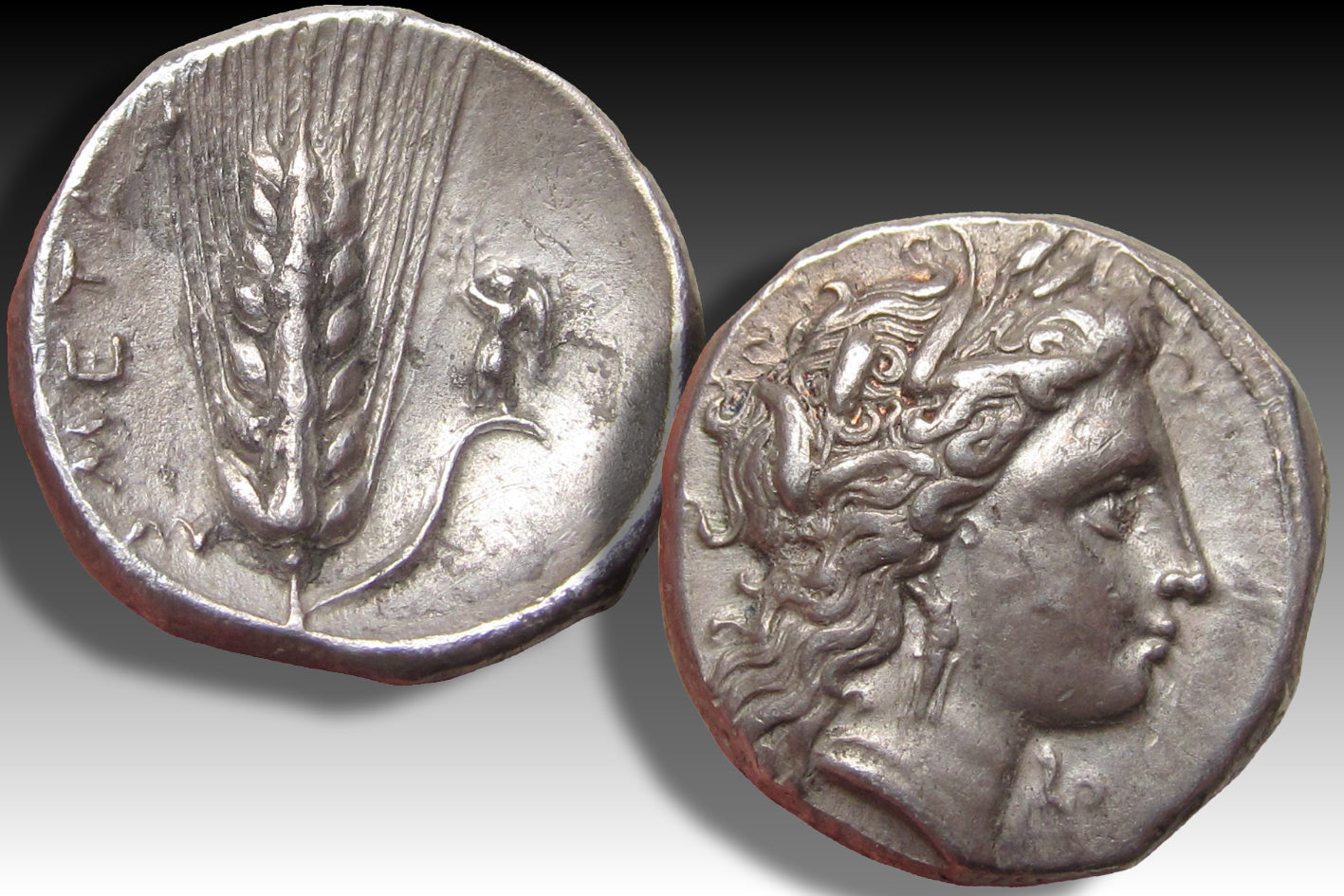 AR nomos / didrachm Lucania, Metapontum / Metapontion circa 330