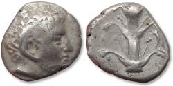 Ancient Coins - AR didrachm CYRENAICA, Cyrene circa 308-277 B.C. - Magas, halfbrother of Ptolemy I, as Ptolemaic governor- cornucopiae symbol
