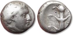 Ancient Coins - AR didrachm CYRENAICA, Cyrene circa 308-277 B.C. - Magas, halfbrother of Ptolemy I, as Ptolemaic governor-