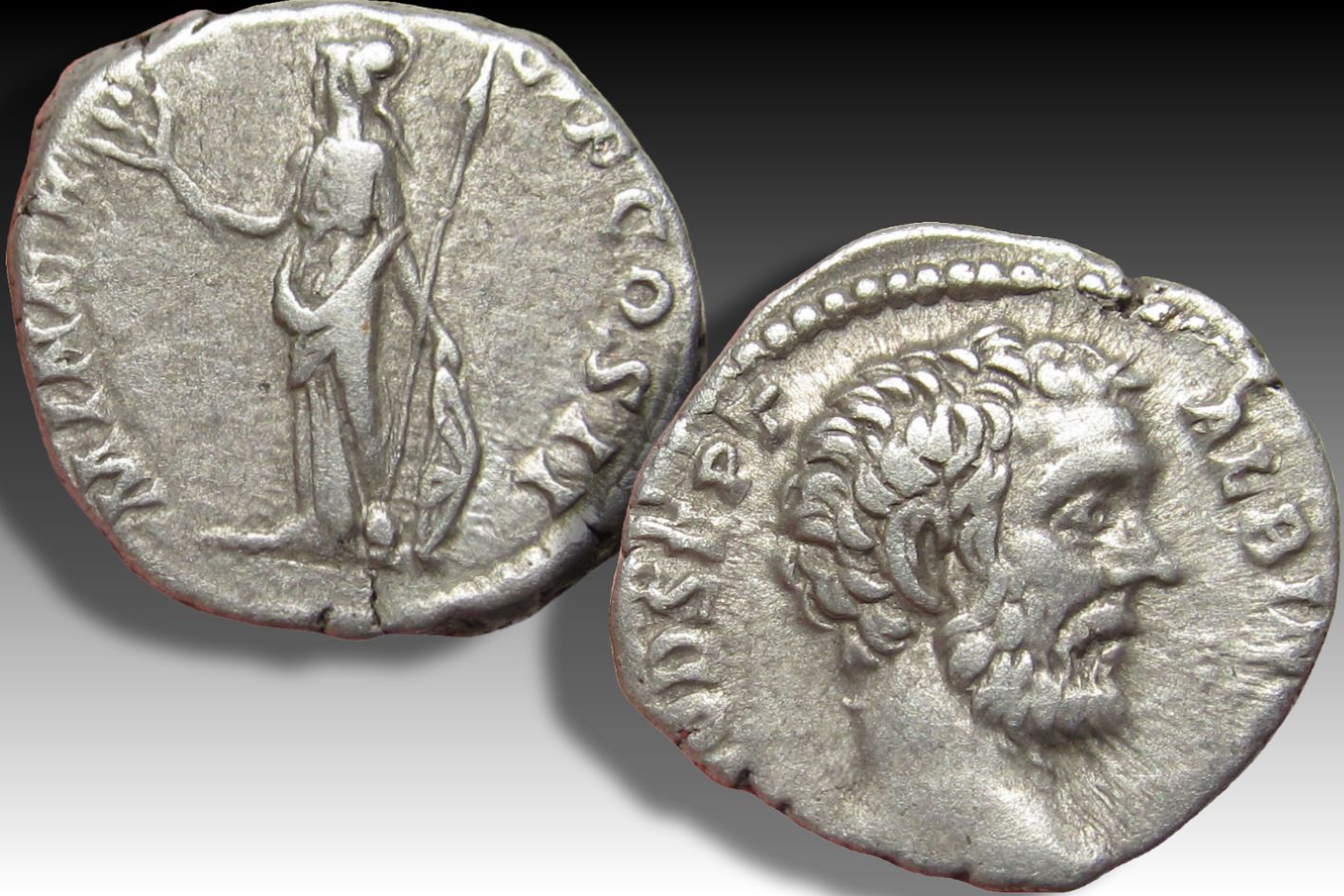 パルナシウス/P.sacerdos（スイス・アルプス産、1オス） AR denarius Clodius Albinus as Caesar, Rome mint 193-195 A.D.