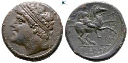 Ancient Coins - SICILY, Syracuse. Hieron II. 275-215 BC. Æ