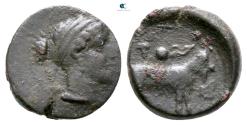 Ancient Coins - SICILY. Nakone. Circa 420-400 BC. Onkia