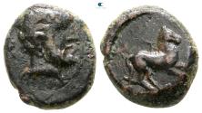 Ancient Coins - Sicily, Solous Bronze. Late 4th - early 3rd century BC.