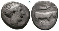 Ancient Coins - CAMPANIA. Neapolis. Circa 320-300 BC. Nomos