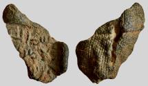 World Coins - Umayyad lead Seal With Inscription / al-Hajjaj b. Yusuf
