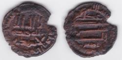 World Coins - Idrisid AE AH 206