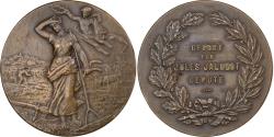 World Coins - France, Medal, Médaille du Mérite Agricole, n.d., Bronze,