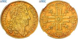 World Coins - France, Louis XIV, Louis d'or de Béarn au soleil, 1711, Pau, TOP POP, Gold