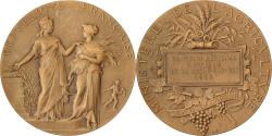World Coins - France, Medal, Concours Régional Hippique de La Roche-sur-Yon, 1903, Bronze
