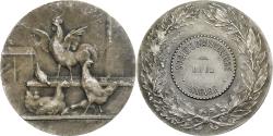 World Coins - France, Medal, Société d'Aviculture de la Nièvre, n.d., Silvered bronze