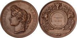World Coins - France, Medal, Comité d'Agriculture de Semur, 1884, Copper, Desaide,